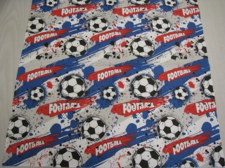 Fotbalista