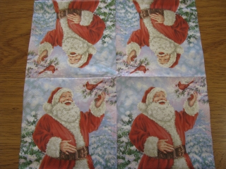 Santa s ptáčkem 