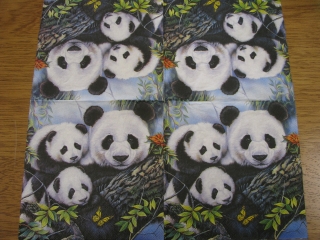 Pandy