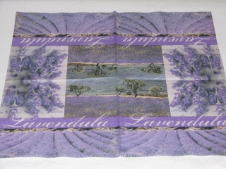 Lavendula