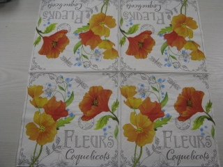 Fleurs 