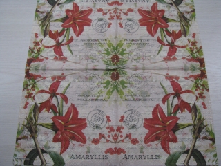 Amaryllis