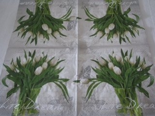 Bílé tulipány