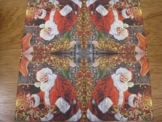 Santa s panenkou