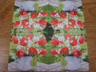 Červené tulipány