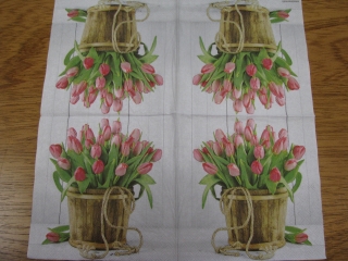 Tulipány 