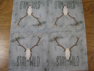 Stay Wild