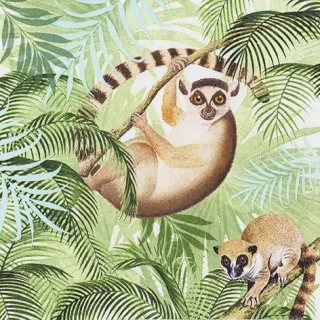 Lemur