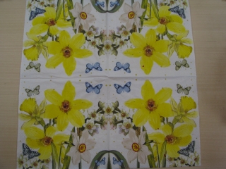 Narcisky