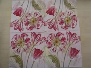 Tulipány