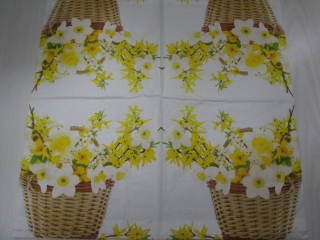 Narcisky