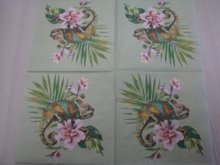 Chameleon