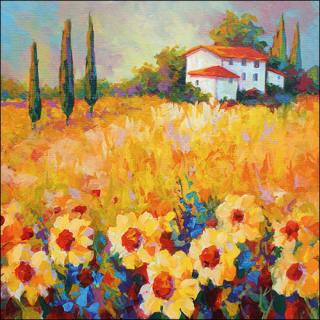 Domeček - celé balení