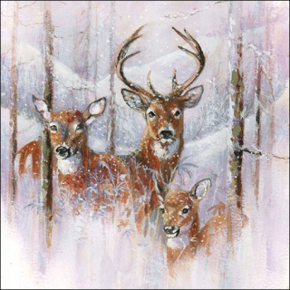 Zvěřina - celé balení