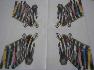 Zebra barevná