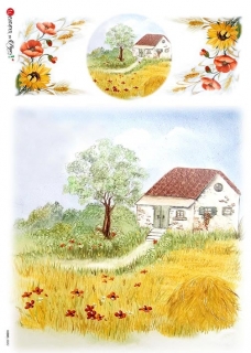 Chaloupka