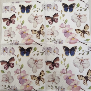 Orchidej a motýl