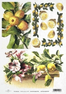 Citrony - 432