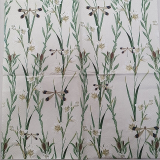 Exotická květina