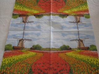 Mlýn a tulipány