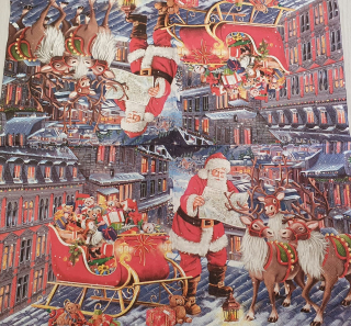 Santa a sobíci