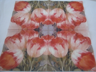 Tulipány