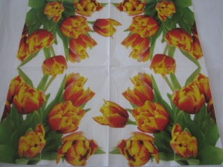 Oranžovožluté tulipány 