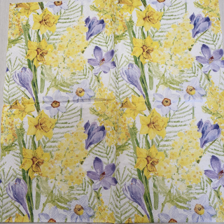 Narcisky