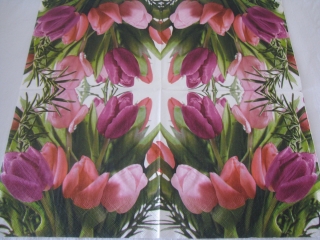 Tulipány I