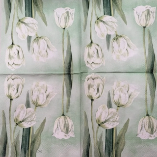 Tulipány
