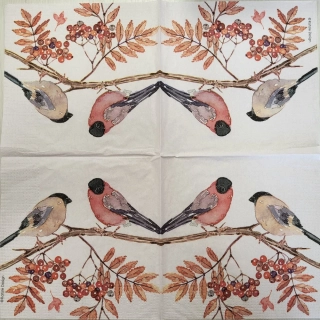 Ptáčci