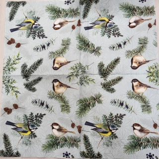 Ptáčci 