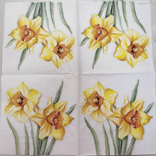 Narcisky