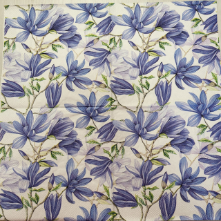 Magnolie