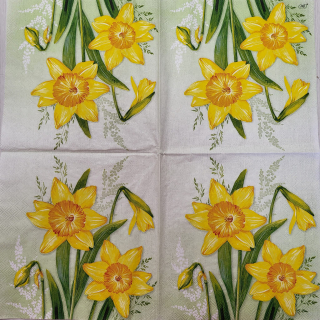 Narcisky