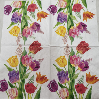 Tulipány
