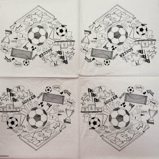 Fotbal