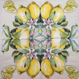 Citrony - celé balení