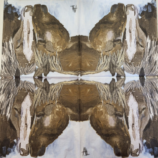 Koně