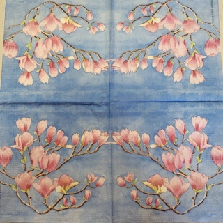 Magnolie
