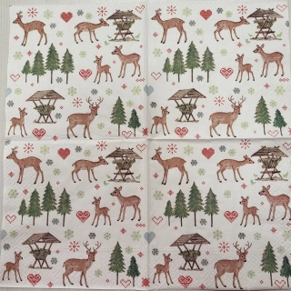 Zvířátka